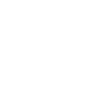 Public_Investment_Fund_(Saudi_Arabia)_logo white